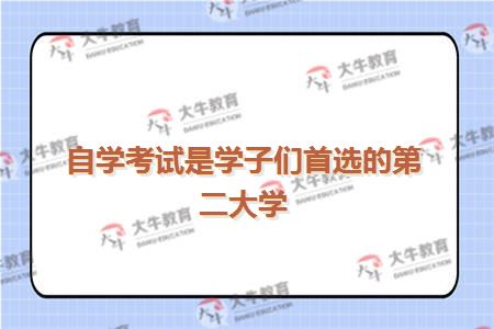 自学考试是学子们首选的第二大学